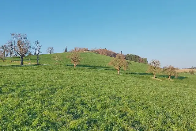 Hochberg – Viewpoint, 9 km from Wangen