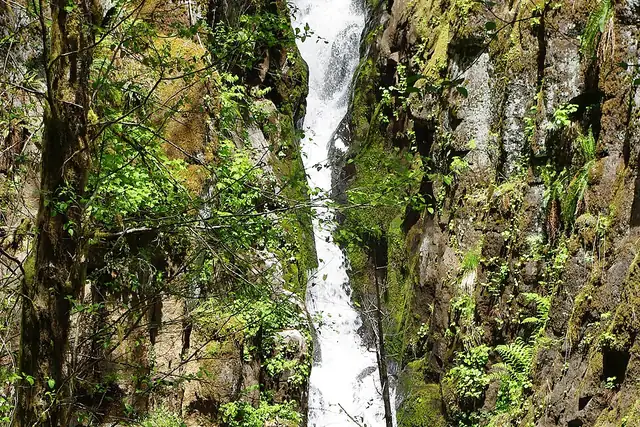 Ki-a-Kuts Falls – Waterfall, 22 km from Forest Grove