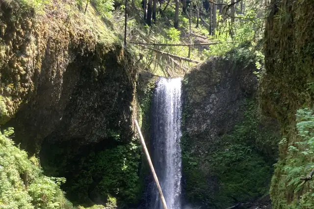 Wiesendanger Falls – Wasserfall, 19 km von Washougal