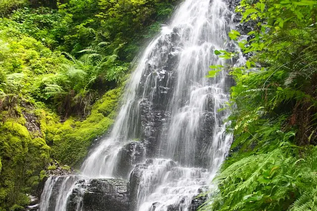 Fairy Falls – Wasserfall, 18 km von Washougal