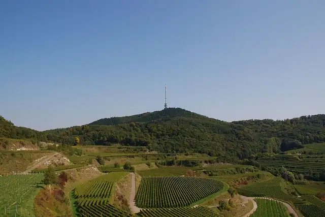 Kaiserstuhlblick - Totenkopf – Viewpoint, 14 km from Emmendingen
