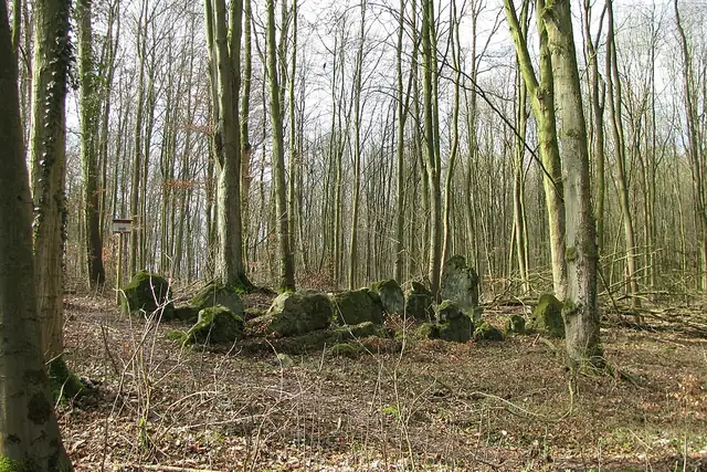 Lautariusgrab – Megalith, 16 km from Kassel