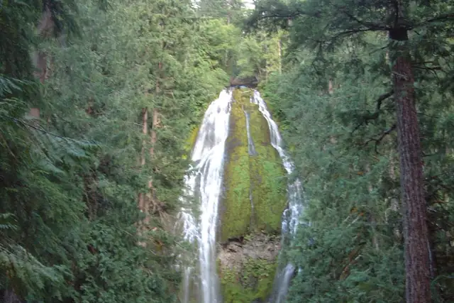 Proxy Falls – Waterfall