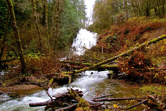 Fishhawk Falls – Waterfall