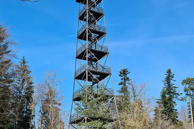 Aussichtsturm Pfannenstiel (Alter Bachtelturm) – Aussichtsturm, 7 km von Horgen