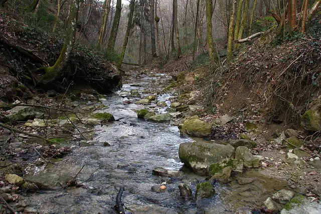 Sagentobelbachfall – Wasserfall, bei Dübendorf