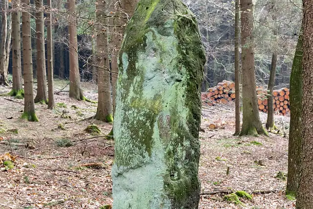 Bülheimer Großmutter – Megalith, 15 km from Marsberg
