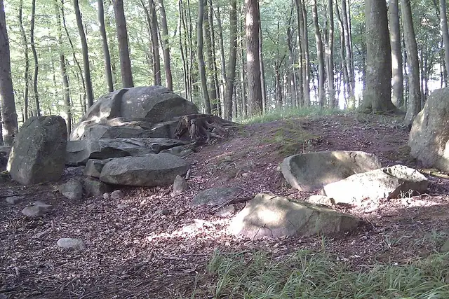 Großsteingrab Forst Poggendorf 3 – Megalith, 16 km von Universitäts- und Hansestadt Greifswald