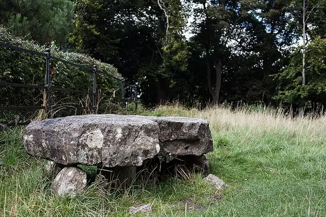 Knockmaree Dolmen – Megalith, 6 km von Dublin