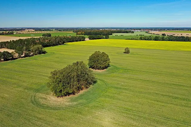 Großsteingrab Leetze 3 – Megalith, 12 km von Hansestadt Salzwedel