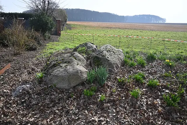 Großsteingrab Westerkappeln – Megalith, 9 km from Wallenhorst
