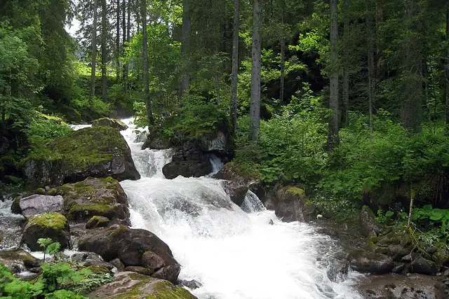 Gsponbachfall – Wasserfall, 26 km von Vaduz