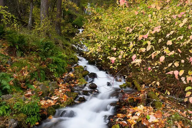 Wahkeena Falls – Waterfall, 18 km from Washougal