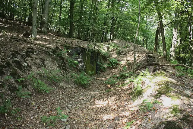 Historische 'Wache Schießstände' (Ruine) – Ruine, bei Koblenz