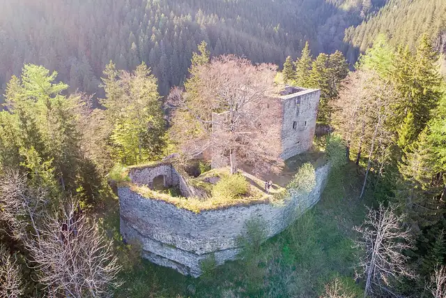 Ruine Hauenstein – Castle