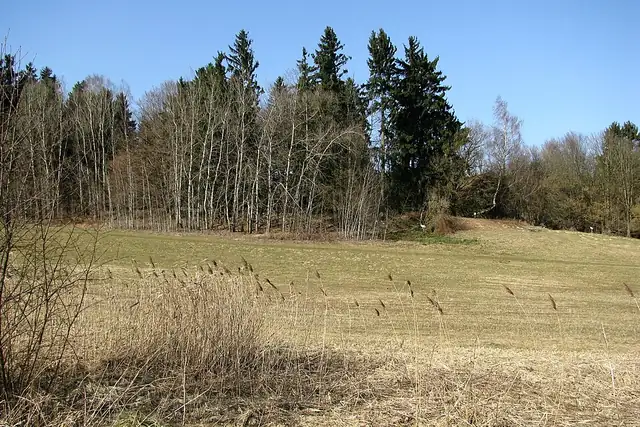 Mittelalterlicher Burgstall Parsberg – Ruine, 18 km von München