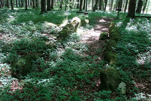 Galeriegrab von Warburg-Rimbeck – Megalith, 8 km from Warburg